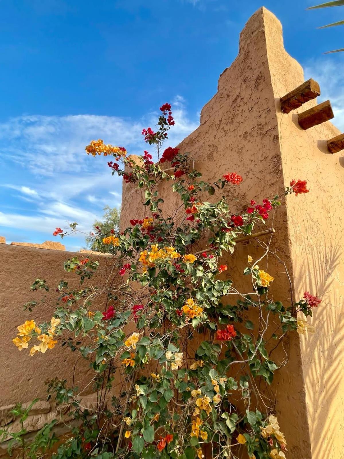 Auberge Kasbah Dar Sahara Tours M'Hamid El Ghizlane Exterior foto