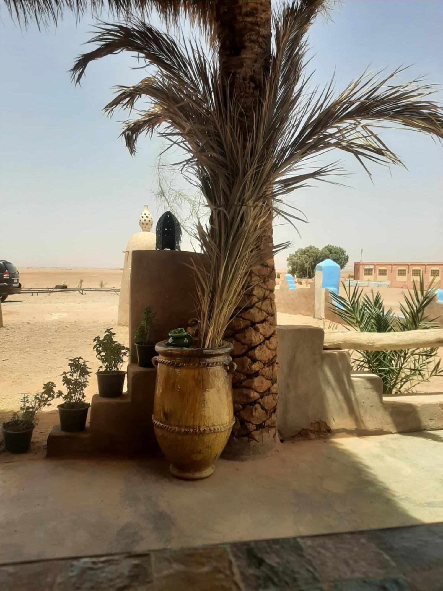 Auberge Kasbah Dar Sahara Tours M'Hamid El Ghizlane Exterior foto
